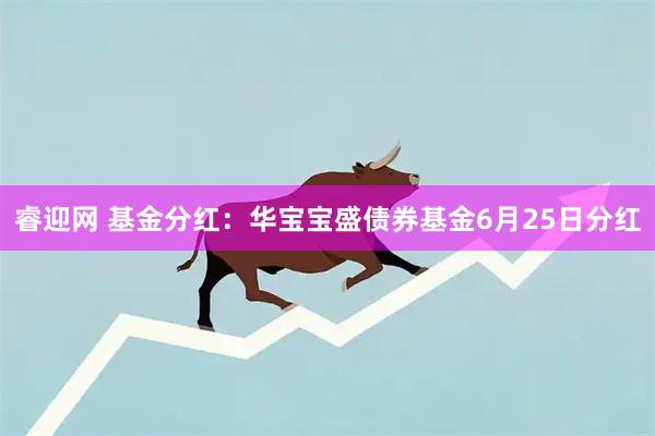 睿迎网 基金分红：华宝宝盛债券基金6月25日分红